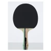 Lion Power Table Tennis Bat