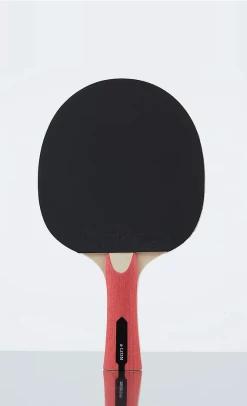 INTERNATIONAL – Lion Table Tennis Bat